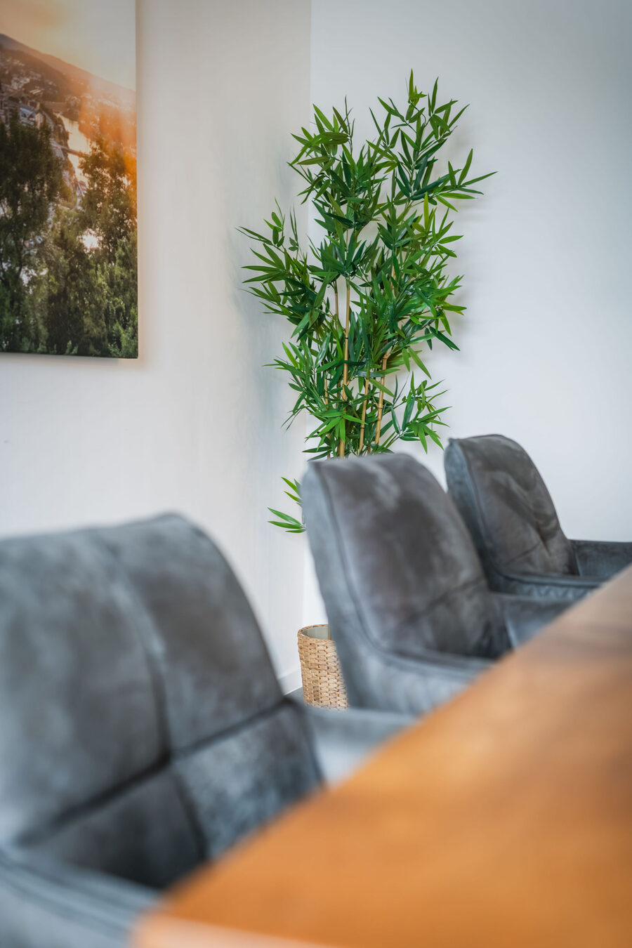Besprechungsraum mit Stühlen und Pflanze